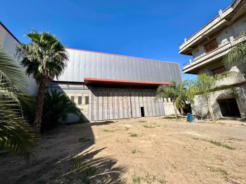 Location Hangar - Usine Blida Blida