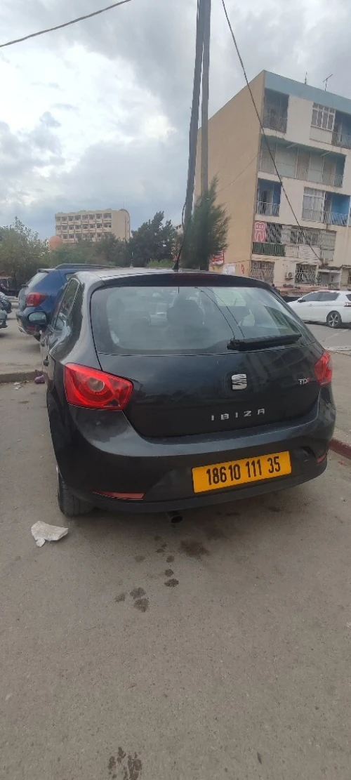 Seat Ibiza 2011 Loca