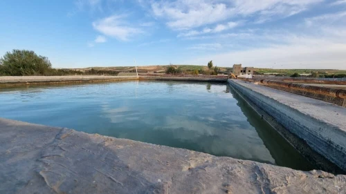 Vente Terrain Agricole Mostaganem Sirat