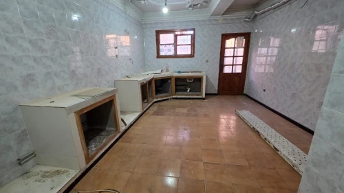 Location Immeuble Oran Bir el djir