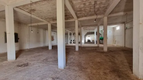 Vente Terrain Agricole Mostaganem El hassiane