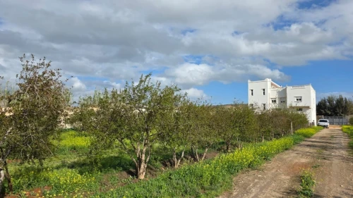 Vente Terrain Agricole Mostaganem Sirat