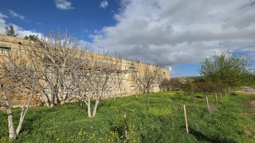 Vente Terrain Agricole Mostaganem El hassiane