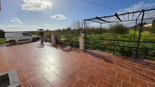 Vente Terrain Agricole Mostaganem Sirat