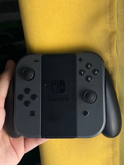 Nintendo switch flasher