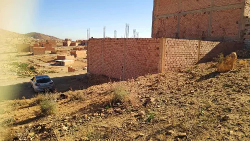 Vente Terrain Tlemcen Maghnia
