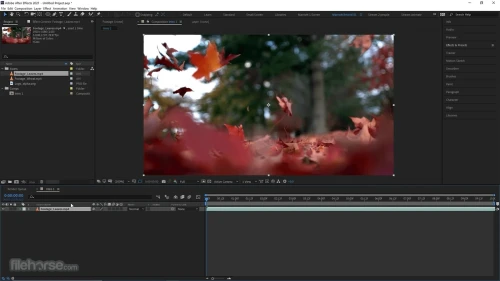 Formation Adobe After Effects