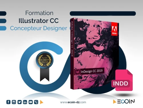 Formation Infographie- devenez un graphic designer (أنفوغرافيا)