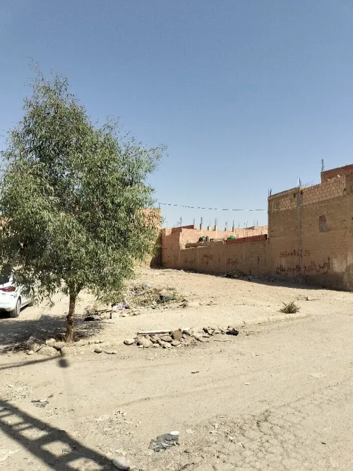 Vente Terrain Biskra Biskra