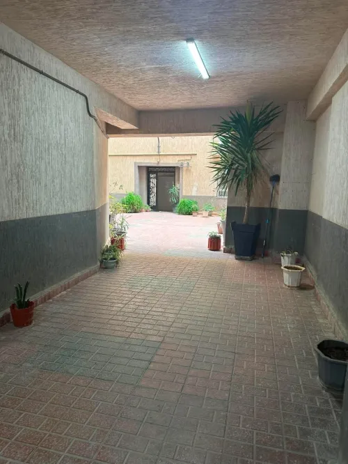 Location Appartement F3 Alger Saoula