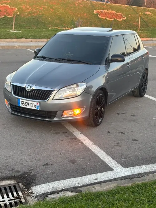Skoda Fabia 2013 Fresh