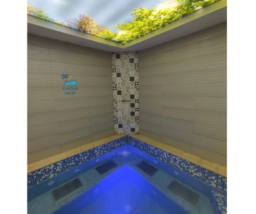  تصميم وإنجاز المسابح الداخلية والخارجية/ Construction Piscines
