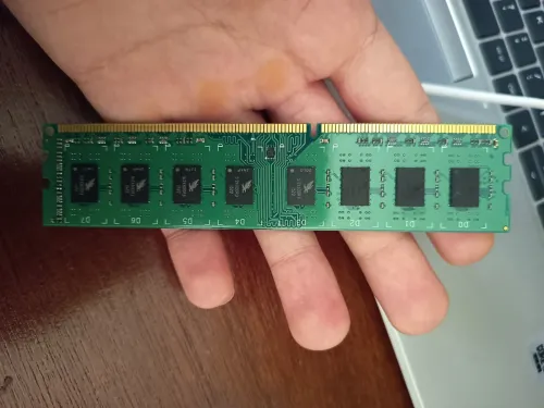 Ram