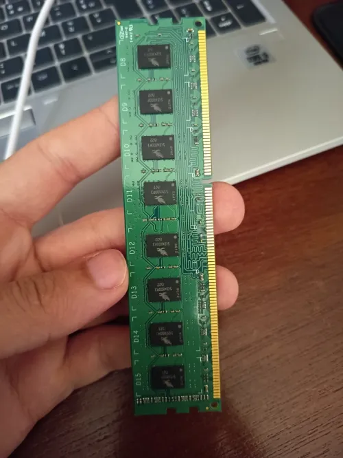 Ram