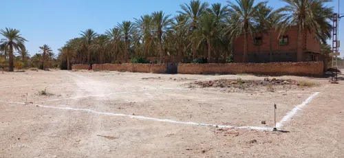 Vente Terrain Biskra Bordj ben azzouz