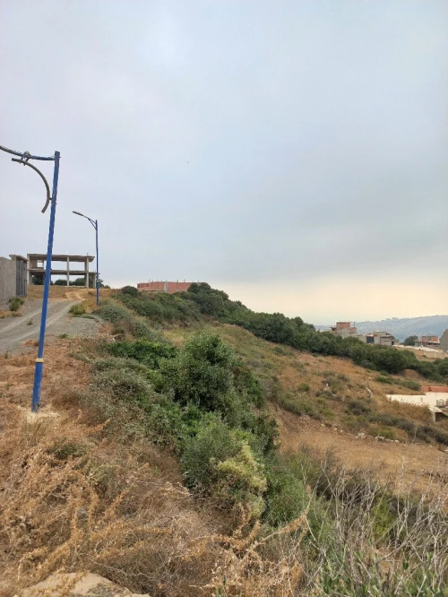 Vente Terrain Blida Djebara