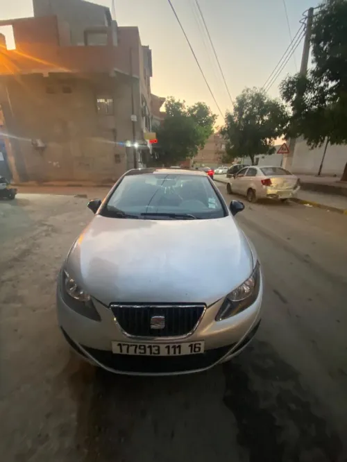 Seat louka 2011 louka
