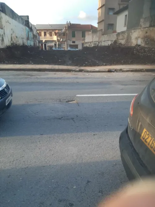 Vente Terrain Alger Hammamet