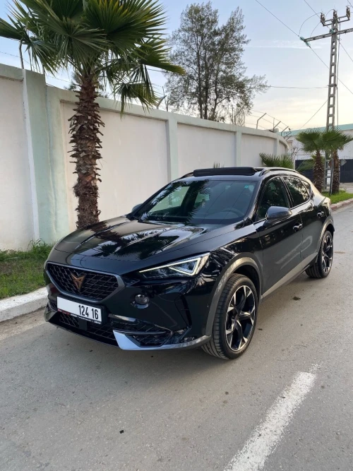 Seat Cupra formentor 2026 2.0 TDI 4x4