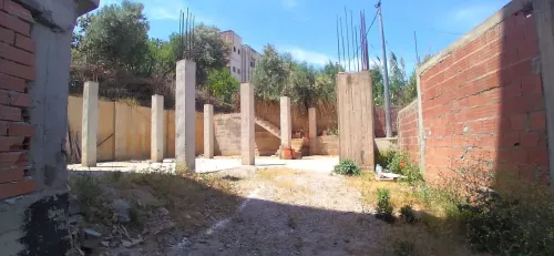 Vente Terrain Boumerdes Boumerdes