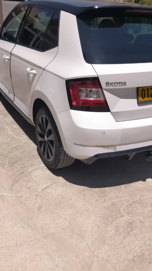 Skoda Fabia 2017 Monte Carlo