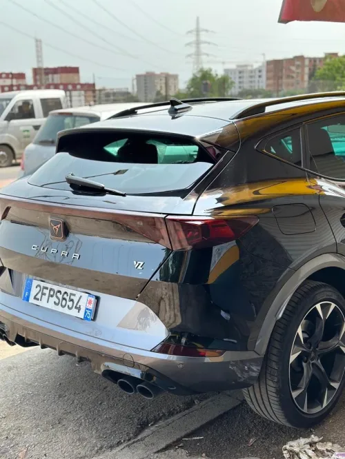 Cupra  Fermantor 2024 Vz
