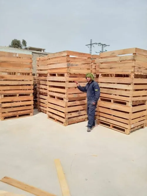 Fabrication caisse en bois et palax