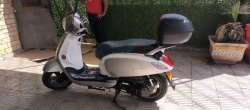 Sim Fidal 3 2024