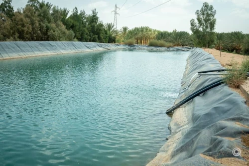 Vente Terrain Agricole Biskra Sidi okba