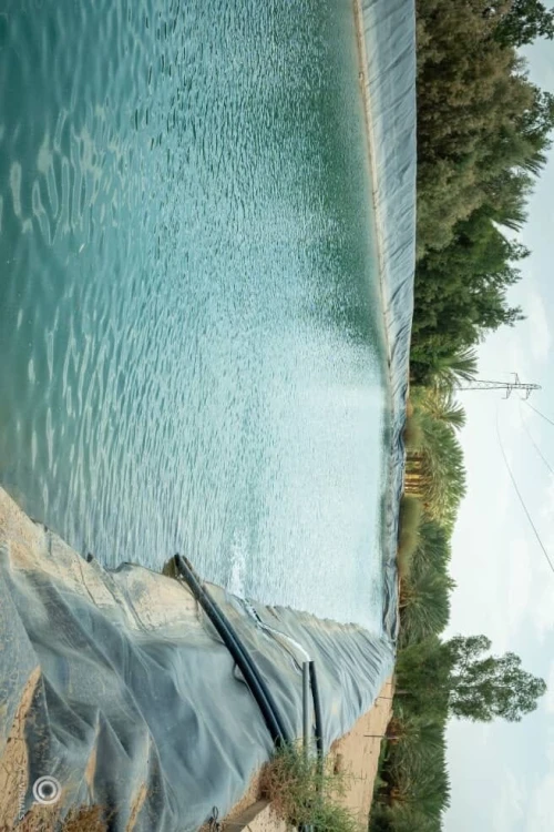 Vente Terrain Agricole Biskra Sidi okba
