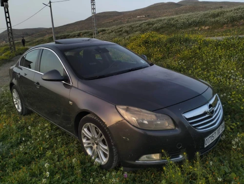 Opel Insignia 2010 OPC