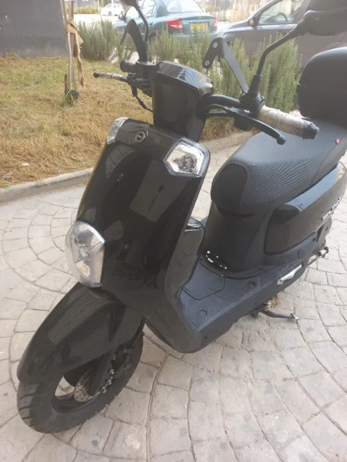 Cuxi 1 2023
