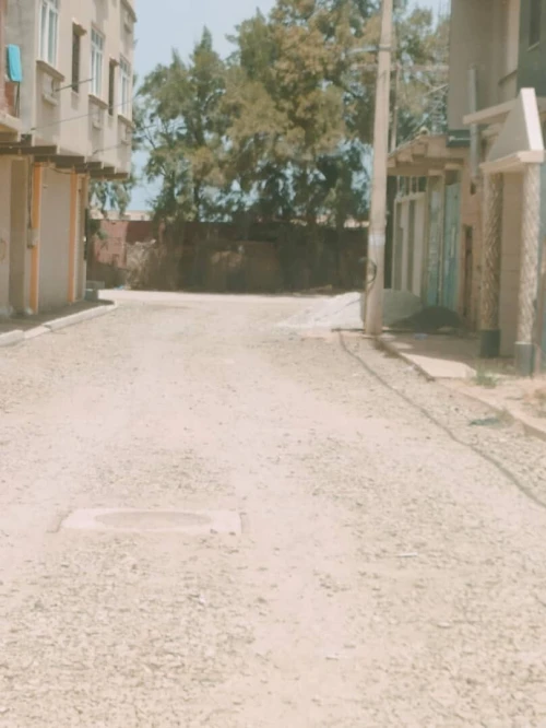 Vente Terrain Blida Chiffa