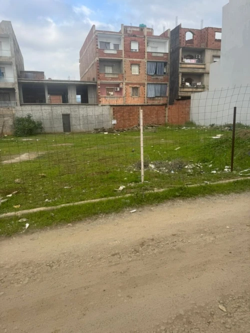 Vente Terrain Blida Chiffa