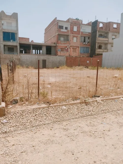 Vente Terrain Blida Chiffa