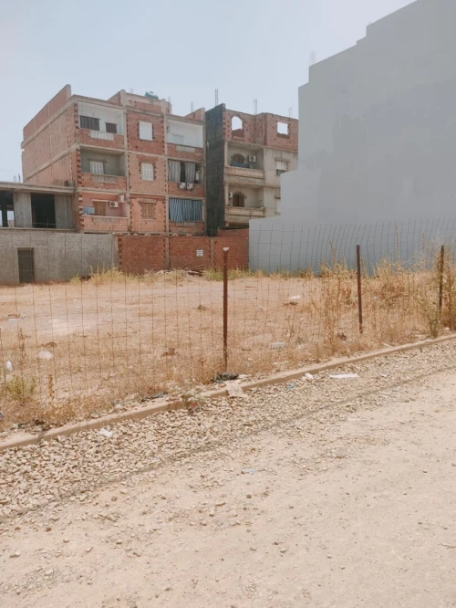 Vente Terrain Blida Chiffa