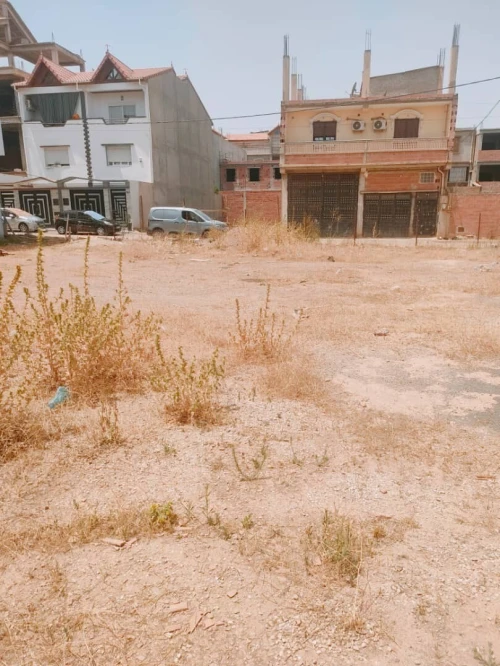 Vente Terrain Blida Chiffa
