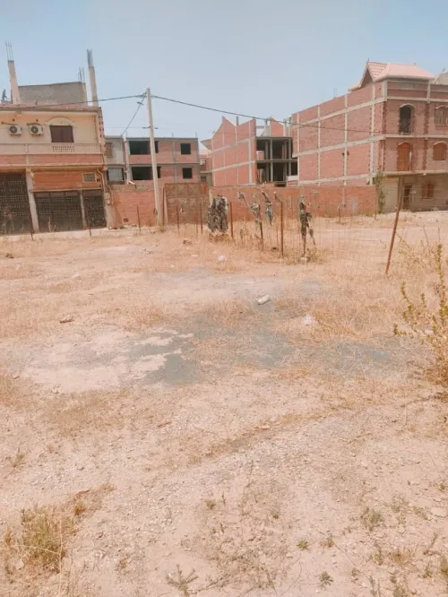 Vente Terrain Blida Chiffa