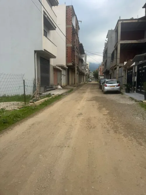 Vente Terrain Blida Chiffa