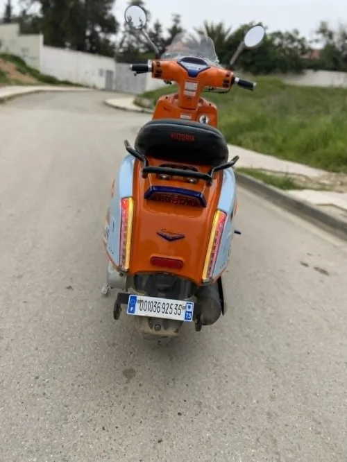 VMS VECTORIA 2025