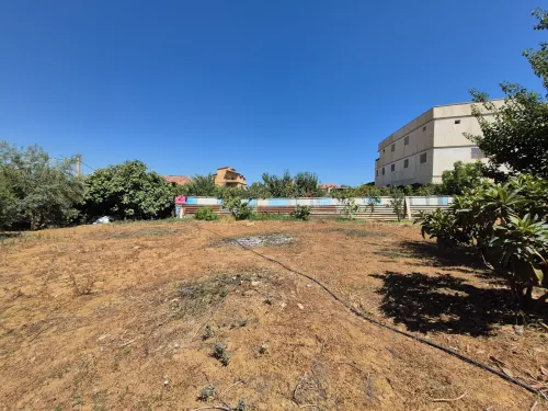 Location Hangar - Usine Boumerdès Ouled moussa