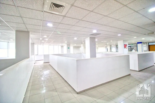 Location Local Oran Bir el djir