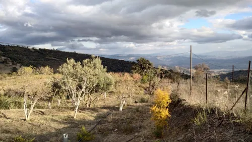 Vente Terrain Bouira Saharidj