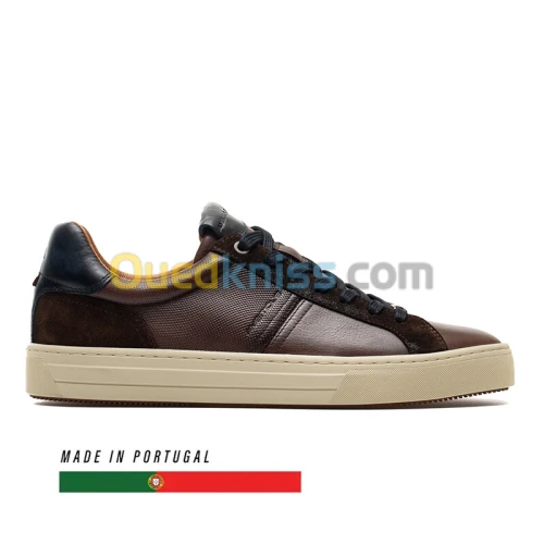 AMBITIOUS Anopolis Brown