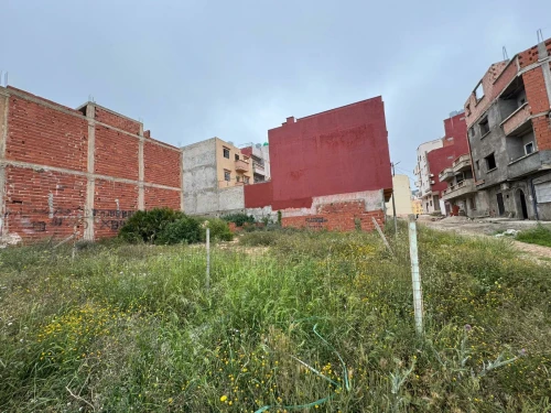Vente Terrain Tlemcen Marsa ben mhidi