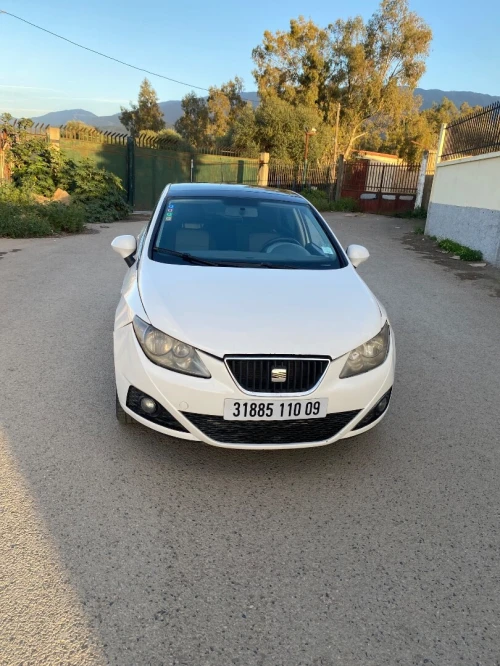 Seat Ibiza 2010 Loca
