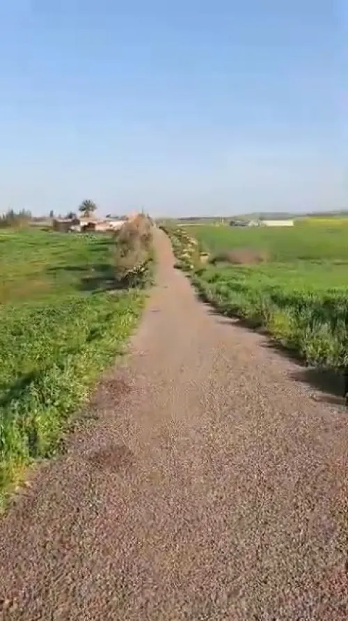 Vente Terrain Agricole Aïn Témouchent Sidi ben adda