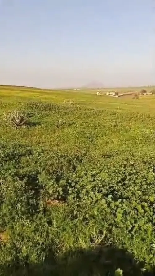Vente Terrain Agricole Aïn Témouchent Sidi ben adda