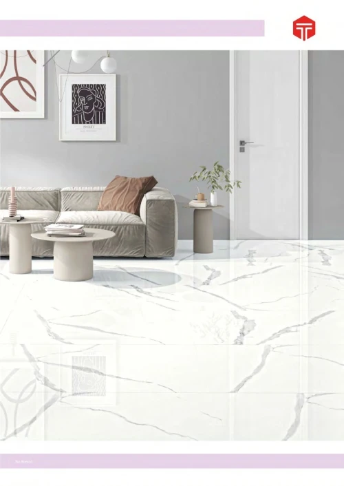 DALLE DE SOL ET MURAL 120/60