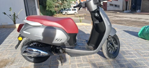 Panaria Beneli 2025